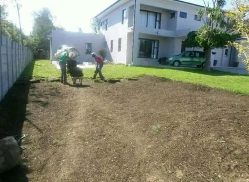 WhatsApp Image 2026-02-18 at 20.52.56